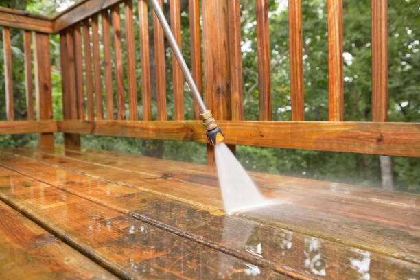 Best Animal Enclosure Cleaning  in Thornport, OH